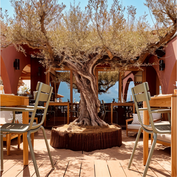 La Plagette - restaurant SAINT-AYGULF - Restaurant Plage Saint Aygulf